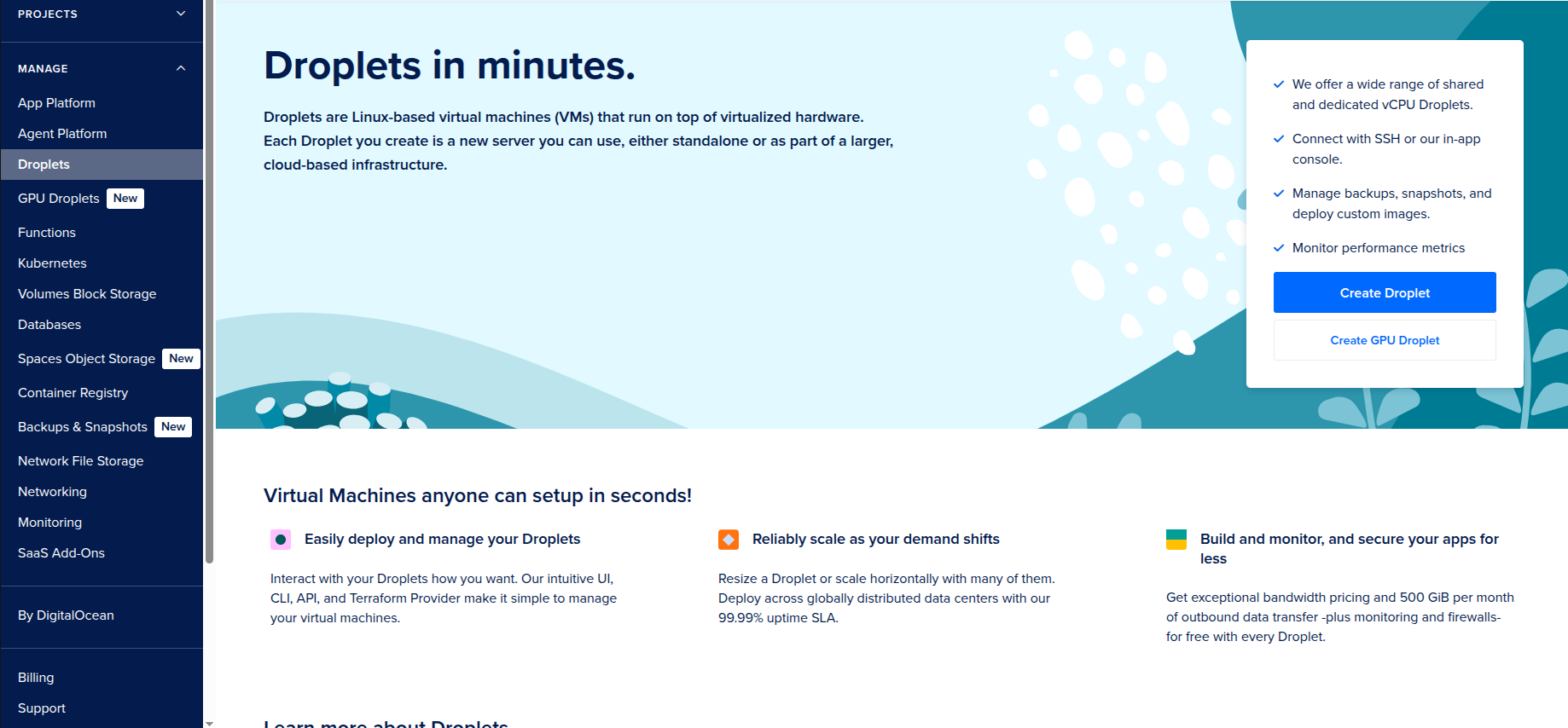 Step 1 - Initial Droplet page